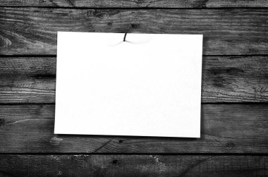Paslı çiviye çivilenmiş beyaz bir kağıt levha. Siyah beyaz tahta bir duvar..