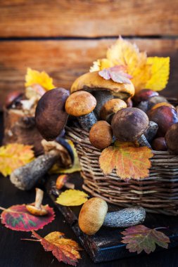 Sepet içinde vahşi orman yenilebilir mantar (çörek)