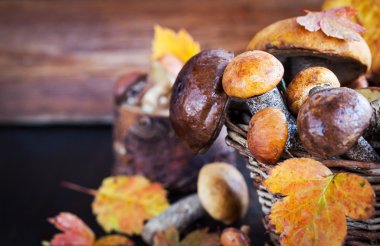 Sepet içinde vahşi orman yenilebilir mantar (çörek)