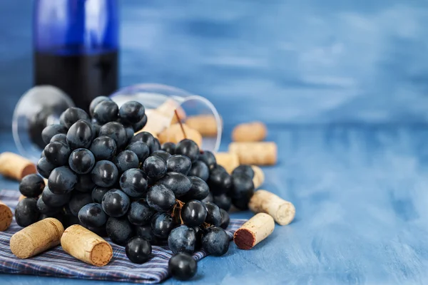 Gri mor üzüm ve şarap mantarlar Şubesi — Stok fotoğraf