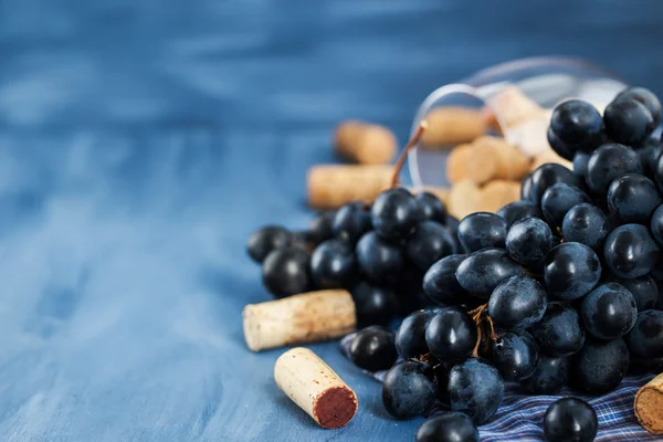 Ramo de uvas roxas e rolhas de vinho em cinza — Fotografia de Stock