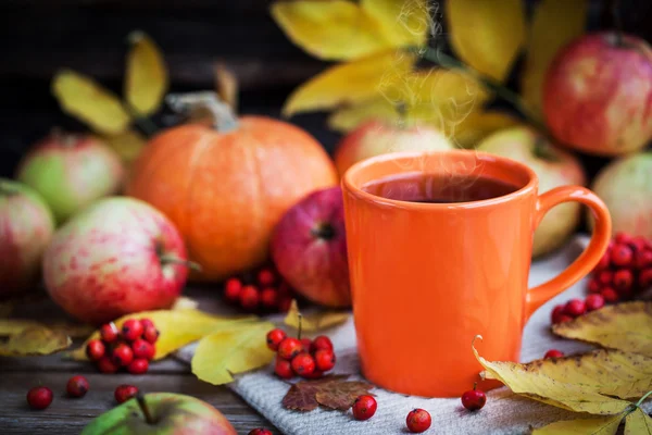 Orange mug on autumn background — Stock Photo, Image