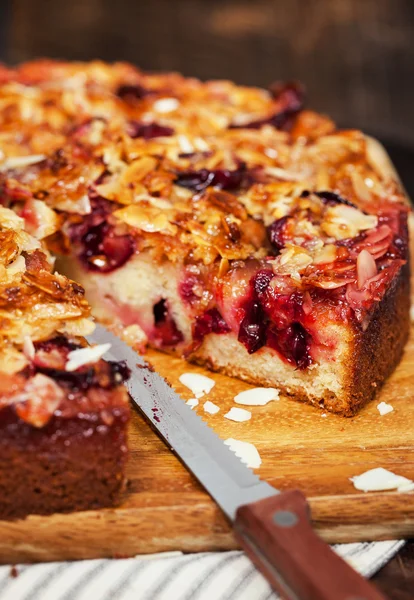 Deliziosa torta di prugne sbriciolata fatta in casa — Foto Stock