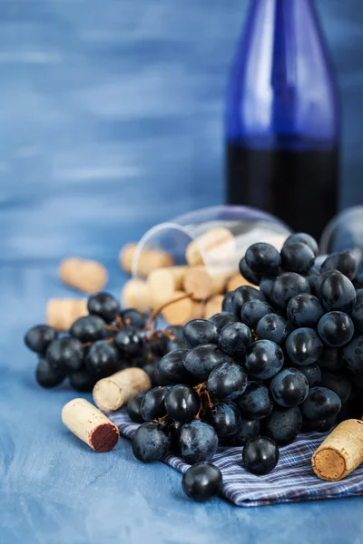 Ramo de uvas roxas e rolhas de vinho em cinza — Fotografia de Stock