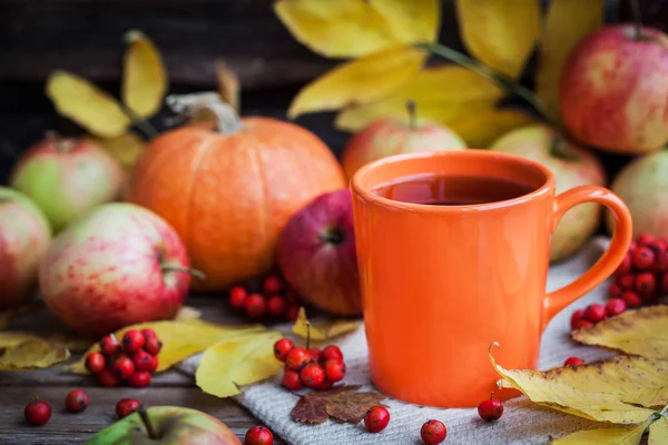 秋天的背景上的橙色杯 — 图库照片