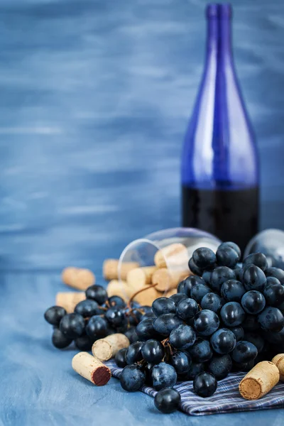 Ramo de uvas roxas e rolhas de vinho em cinza — Fotografia de Stock