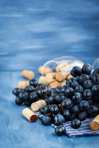 Ramo de uvas roxas e rolhas de vinho em cinza — Fotografia de Stock