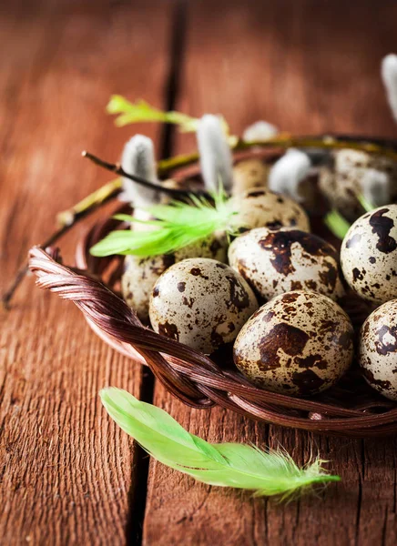 Bıldırcın yumurta