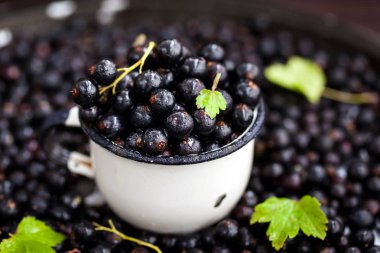 Taze lezzetli organik Siyah frenk üzümü