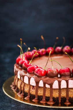 Lezzetli çikolata ve vişneli cheesecake tatlı ile dekore edilmiş