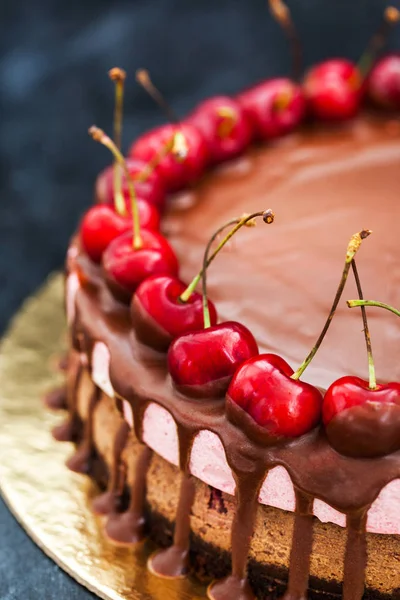 Delicioso postre de chocolate y pastel de queso de cereza decorado con — Foto de Stock