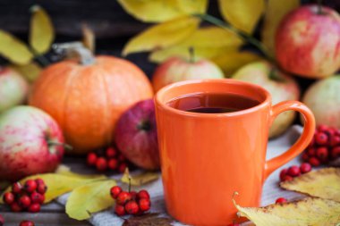 Sonbahar arka planda turuncu kupa