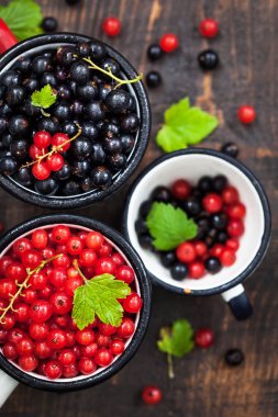Taze lezzetli organik kırmızı ve siyah kuş üzümü