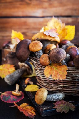 Sepet içinde vahşi orman yenilebilir mantar (çörek)