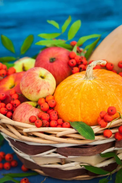 Autumnal still life with pumpkins, apples and rowanberry — Stock Photo, Image