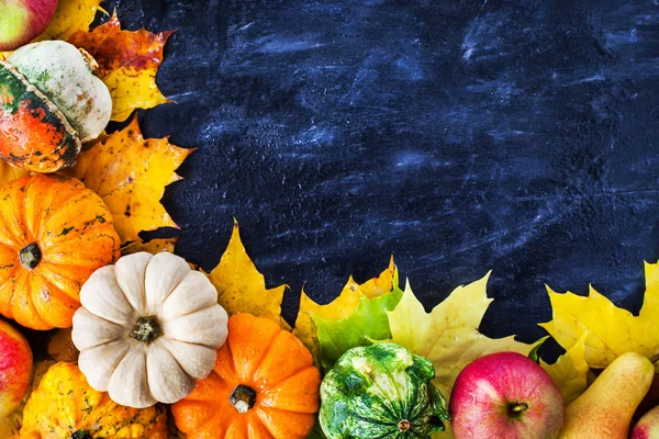 Autumnal colorful pumpkins, apples and fallen leaves  on dark ba — Stock Photo, Image