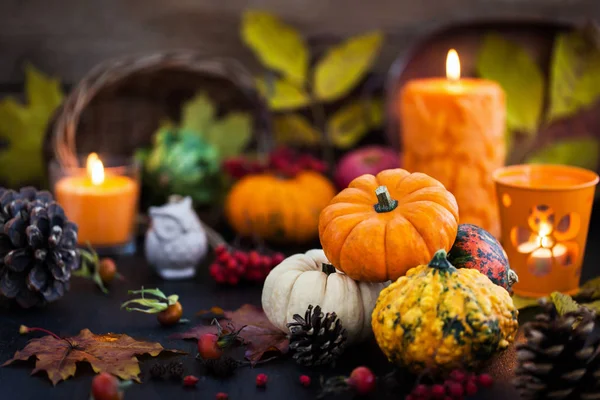 Autumnal colorful  pumpkins  on candle and fallen leaves backgro — Stock Photo, Image