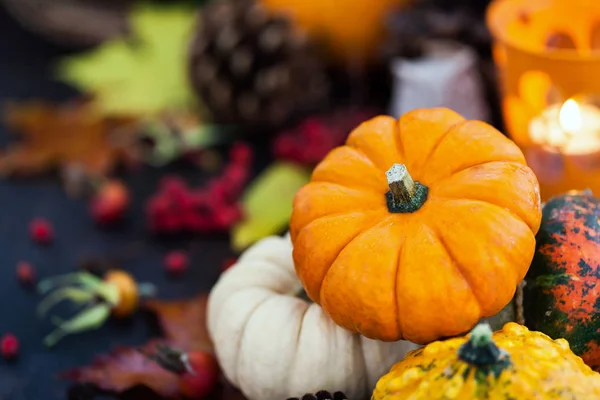 Herbstliche bunte Kürbisse auf Kerzen und umgefallenen Blättern — Stockfoto