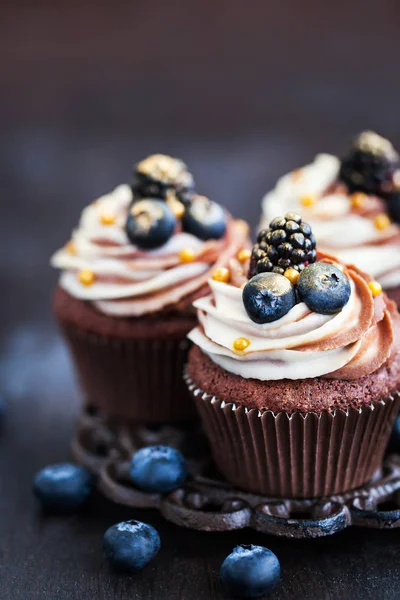 Pasteles de chocolate deliciosos caseros con bayas frescas en la parte superior — Foto de Stock