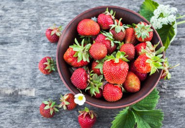 Taze olgun yaz organik çileği, kırsal ahşap arka plan