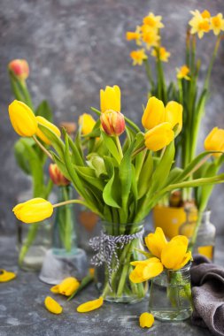 Gri arkaplanda bahar sarısı laleler
