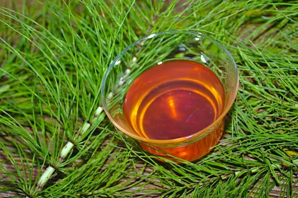 Horsetail tea and horsetail on a wooden board — Stock Image Horsetail Tea Horsetail Wooden Board Stock Image