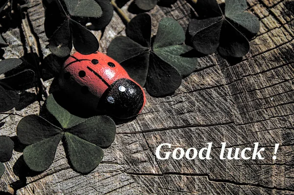 Good luck wishes with clover and a ladybird