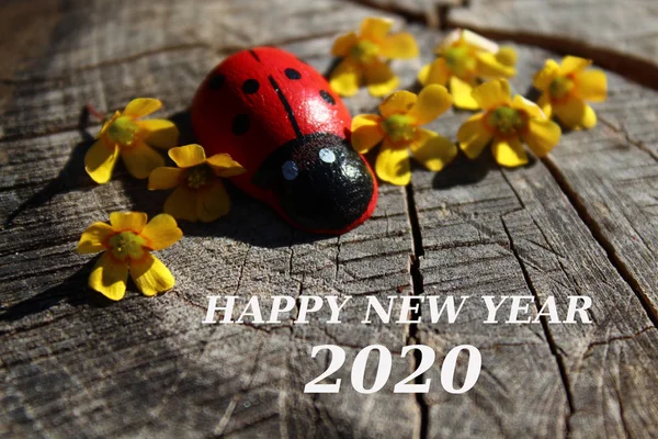 happy new year wishes with a ladybird and sorrel blossoms