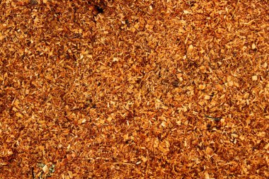 Bahçede kestikten sonra talaş.