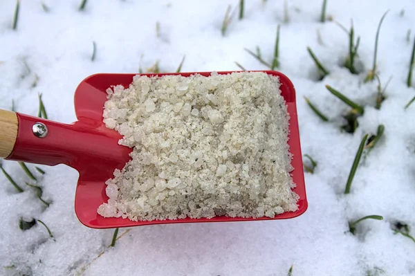 Rode Schop Met Strooizout Tuin — Stockfoto