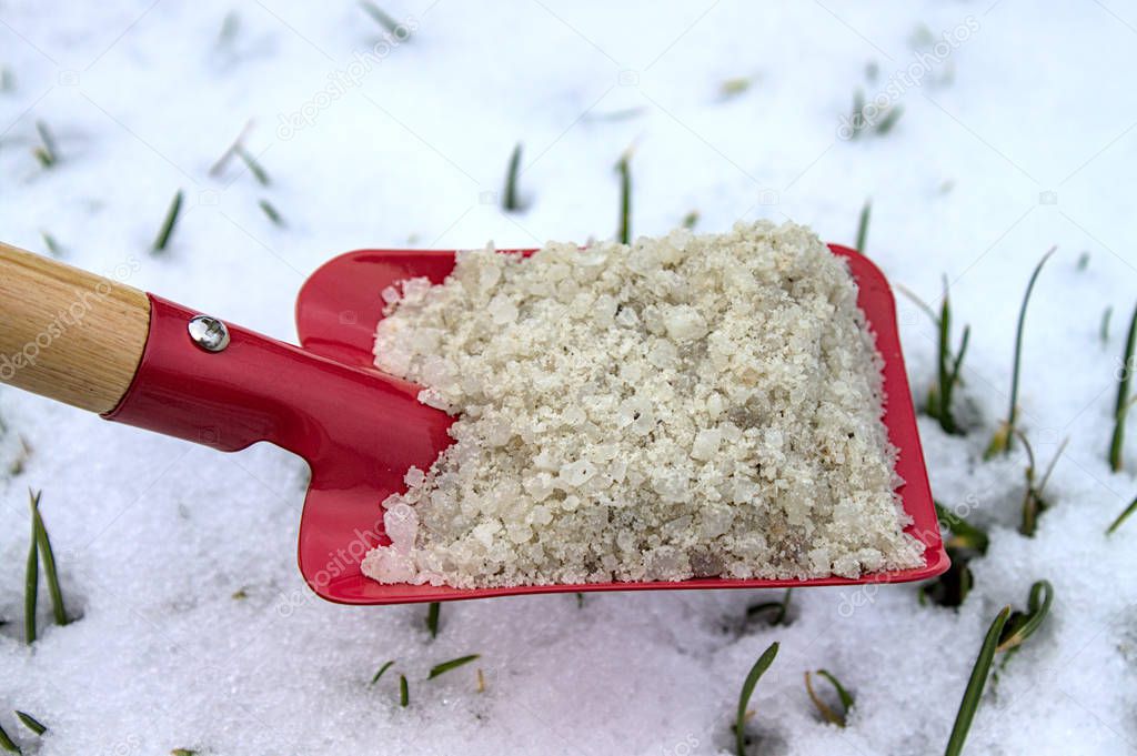 red shovel with road salt in the garden