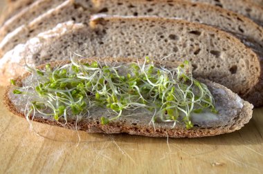 Tereyağlı ve lahanalı bir ekmek dilimi