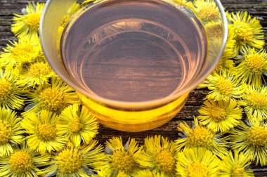 Coltsfoot çayı Coltsfoot çiçekleri
