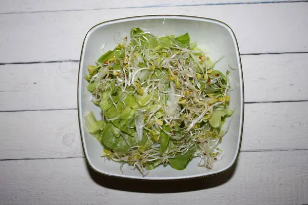 Salada Verde Fresca Com Brotos — Fotografia de Stock