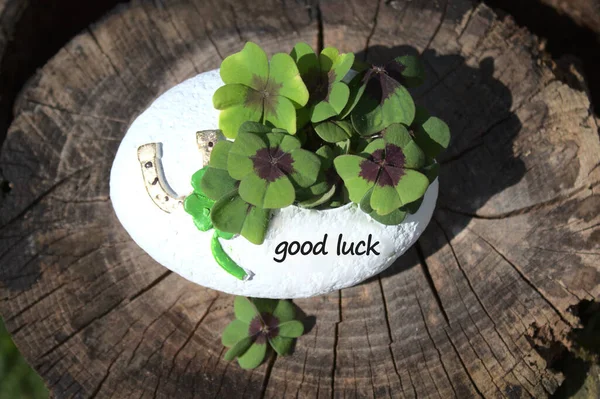 good luck decoration with the text good luck
