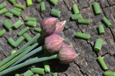 Ormandaki eski bir ağaç gövdesinde soğan var.