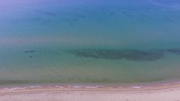 美しいオープンターコイズブルーの海と白い砂と空のビーチのための空中ドローン映像 — ストック動画