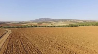 Güzel manzaranın hava aracı görüntüleri. Uzaktaki boş tarlaların ve zeytin çiftliklerinin drone görüntüsü. 
