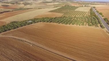 Çok güzel bir manzaranın, tarlanın ve doğanın insansız hava aracı görüntüleri. Boş tarlaların, zeytin ekiminin ve sağ taraftaki yolun drone görüntüsü 