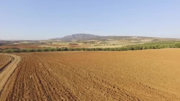 Images aériennes de drones de beaux paysages. Vue par drone du champ vide et de la plantation d'oliviers au loin . 