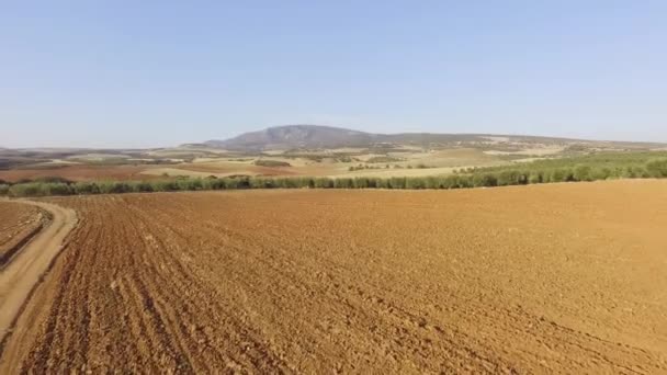 Aerial Drone Footage Beautiful Landscape Drone View Empty Field Olive — ストック動画