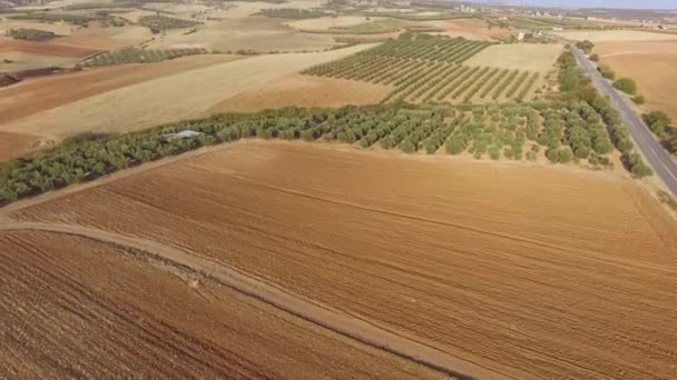 Повітряний Безпілотник Фотографії Красивого Пейзажу Поля Природи Вид Дрона Порожні — стокове відео