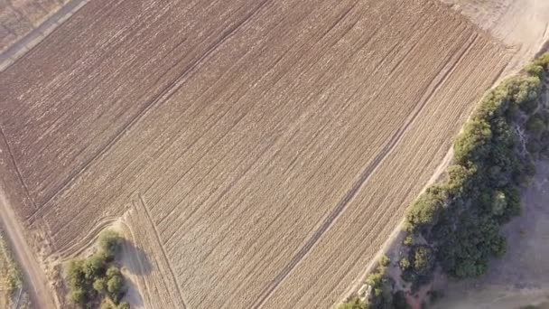 Съемка Беспилотника Красивого Ландшафта Полями Посадки Вид Природу Природу Высоты — стоковое видео