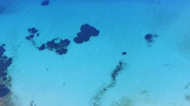 Imágenes Aéreas Del Hermoso Mar Turquesa Claro Vista Pájaro Azul — Vídeos de Stock