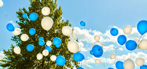 Mavi ve beyaz uçan balonlar mavi gökyüzüne karşı bulutlar ve güneşli bir günde yeşil ağaç arka planıyla. Pankart. Tatil, kutlama, Çocuklar Günü, düğün, mezuniyet konsepti.