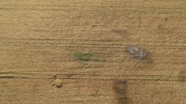 Finlandiya 'da insansız hava aracı üzerinde ekmek sahası atışı