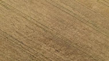 Finlandiya 'da insansız hava aracı üzerinde ekmek sahası atışı