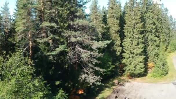 Tårn Skogene Finland Puijon Jumping Hills Kuopio – stockvideo
