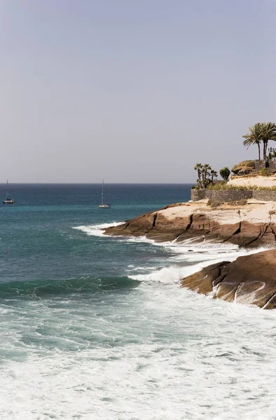 Costa Adeje 'de, Tenerife' nin Santa Cruz bölgesinde kayalık kıyı şeridi, palmiye ağaçları ve fotokopi alanı olan bir koy..