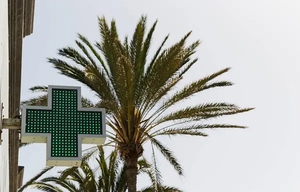 Arka planda palmiye ağaçları olan aydınlatma eczanesi imzası ve kopyalama alanı.